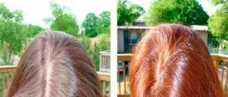 Покраска волос хной: особенности применения и правила разведения для получения различных оттенков