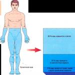 Uloga vode u ljudskom tijelu (dnevna količina i svojstva) Vrste vode u ljudskom tijelu